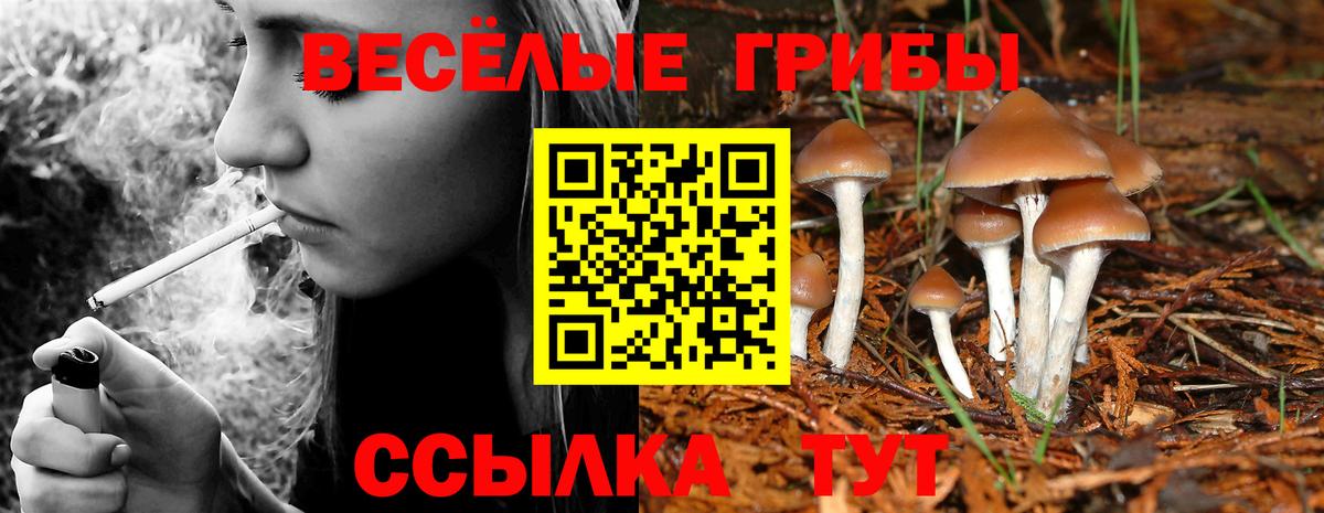 Галлюциногенные грибы мухоморы  Вход с VPN  Комсомольск-на-Амуре 