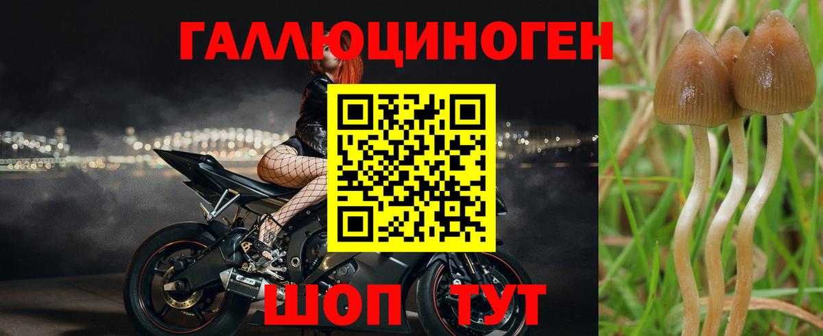 Псилоцибиновые грибы прущие грибы Комсомольск-на-Амуре